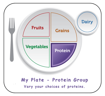 protein food group my plate